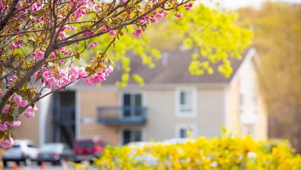 Spring Forward Your Real Estate Profits